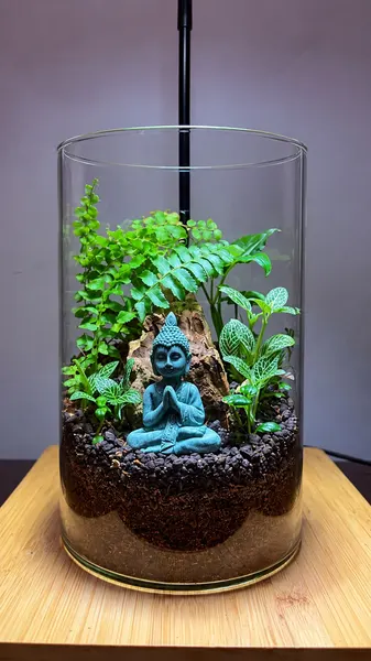 Glass cylinder terrarium with a teal Buddha figure among ferns, fittonia and driftwood