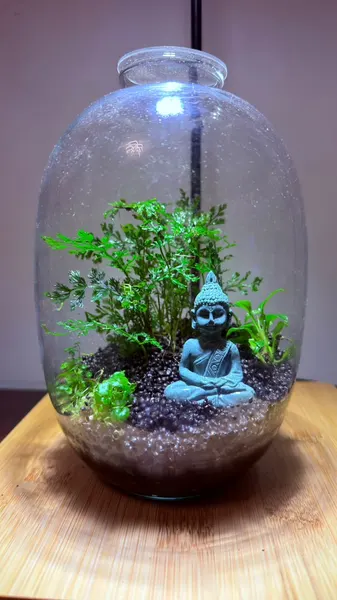 Round glass jar terrarium with a Buddha under feathery fern