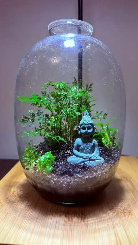 Round glass jar terrarium with a Buddha under feathery fern