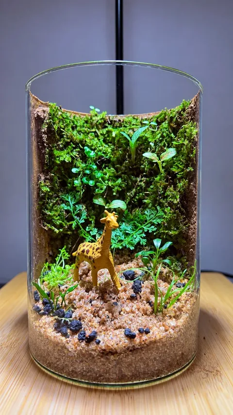 Glass cylinder terrarium with a small giraffe standing in moss and grass over sand