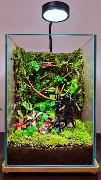 Rectangular glass terrarium with a moss wall, fittonia and a black Shiva figure