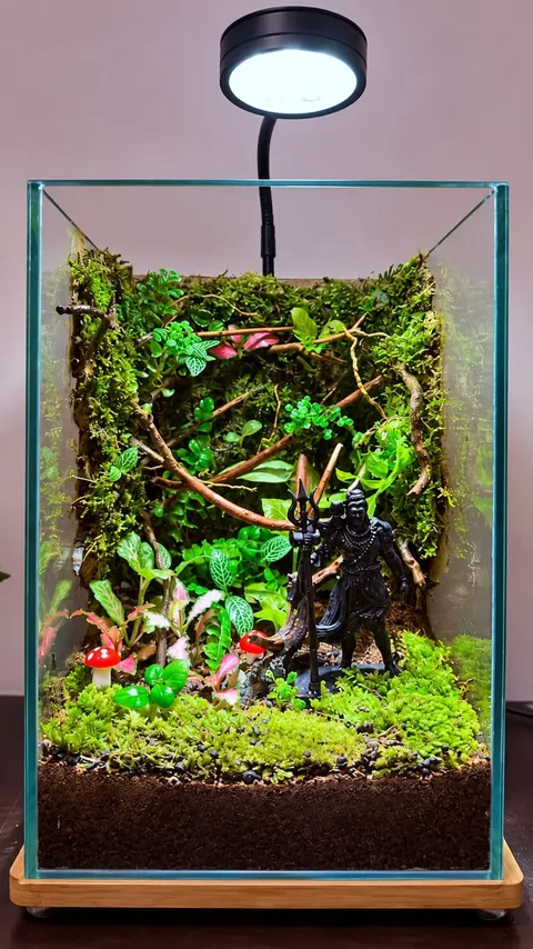 Hands-on view of a moss wall terrarium under a grow light